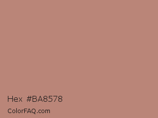 Hex #ba8578 Color Image