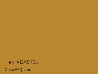 Hex #ba8731 Color Image