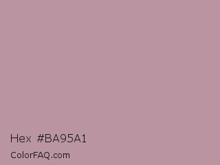 Hex #ba95a1 Color Image