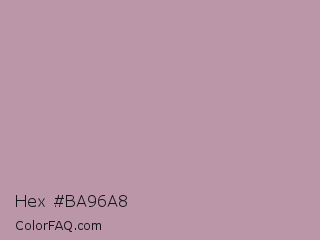 Hex #ba96a8 Color Image