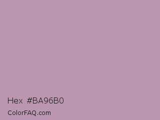 Hex #ba96b0 Color Image