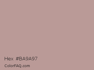 Hex #ba9a97 Color Image
