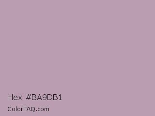 Hex #ba9db1 Color Image