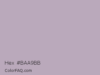Hex #baa9bb Color Image