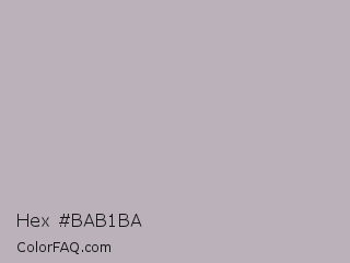 Hex #bab1ba Color Image