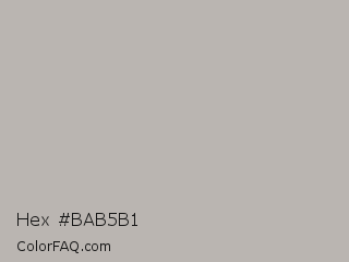Hex #bab5b1 Color Image