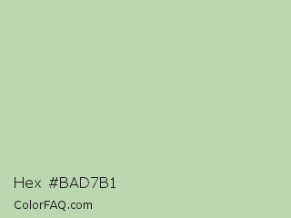 Hex #bad7b1 Color Image