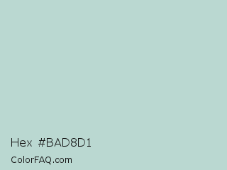 Hex #bad8d1 Color Image