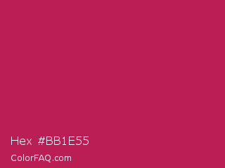 Hex #bb1e55 Color Image