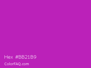Hex #bb21b9 Color Image