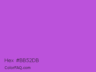 Hex #bb52db Color Image