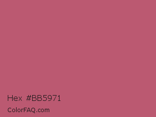 Hex #bb5971 Color Image