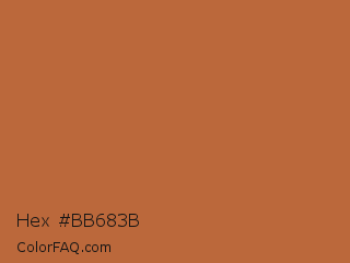 Hex #bb683b Color Image