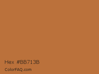 Hex #bb713b Color Image