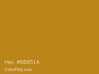 Hex #bb851a Color Image