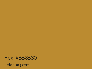 Hex #bb8b30 Color Image