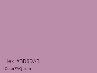Hex #bb8dab Color Image