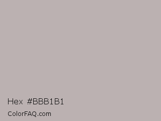 Hex #bbb1b1 Color Image
