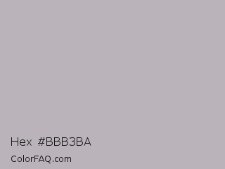 Hex #bbb3ba Color Image