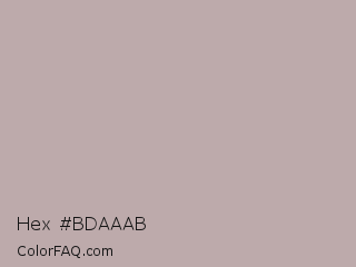 Hex #bdaaab Color Image