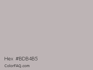 Hex #bdb4b5 Color Image
