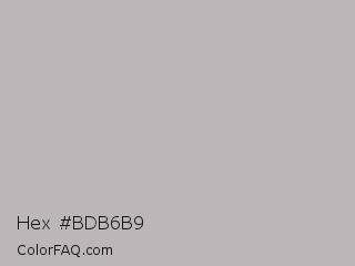 Hex #bdb6b9 Color Image