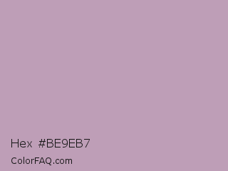 Hex #be9eb7 Color Image