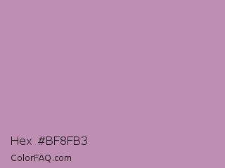 Hex #bf8fb3 Color Image