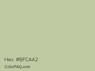 Hex #bfcaa2 Color Image