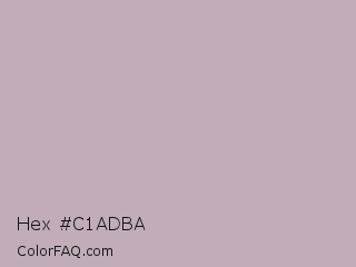 Hex #c1adba Color Image