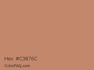 Hex #c3876c Color Image
