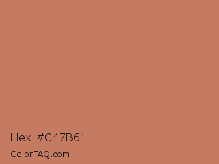 Hex #c47b61 Color Image