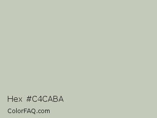Hex #c4caba Color Image