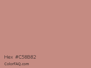 Hex #c58b82 Color Image