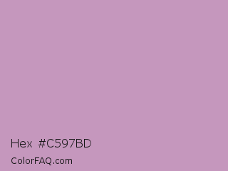 Hex #c597bd Color Image