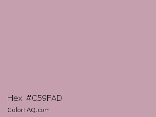 Hex #c59fad Color Image