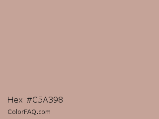 Hex #c5a398 Color Image