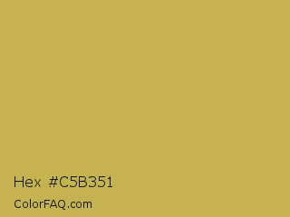 Hex #c5b351 Color Image