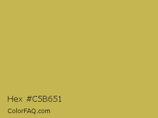 Hex #c5b651 Color Image