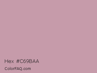 Hex #c69baa Color Image