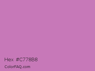 Hex #c778b8 Color Image