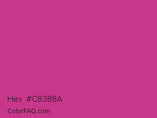 Hex #c8388a Color Image