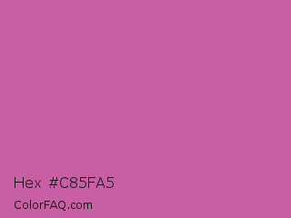 Hex #c85fa5 Color Image