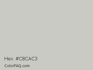 Hex #c8cac3 Color Image