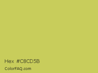 Hex #c8cd5b Color Image