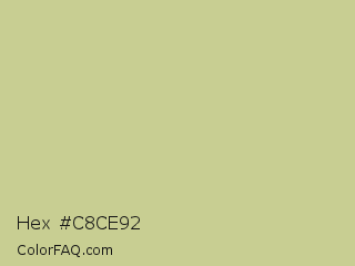 Hex #c8ce92 Color Image