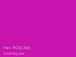 Hex #c913ae Color Image
