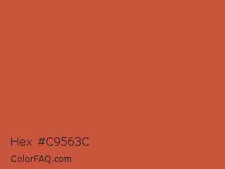 Hex #c9563c Color Image
