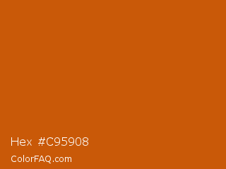 Hex #c95908 Color Image
