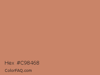 Hex #c98468 Color Image